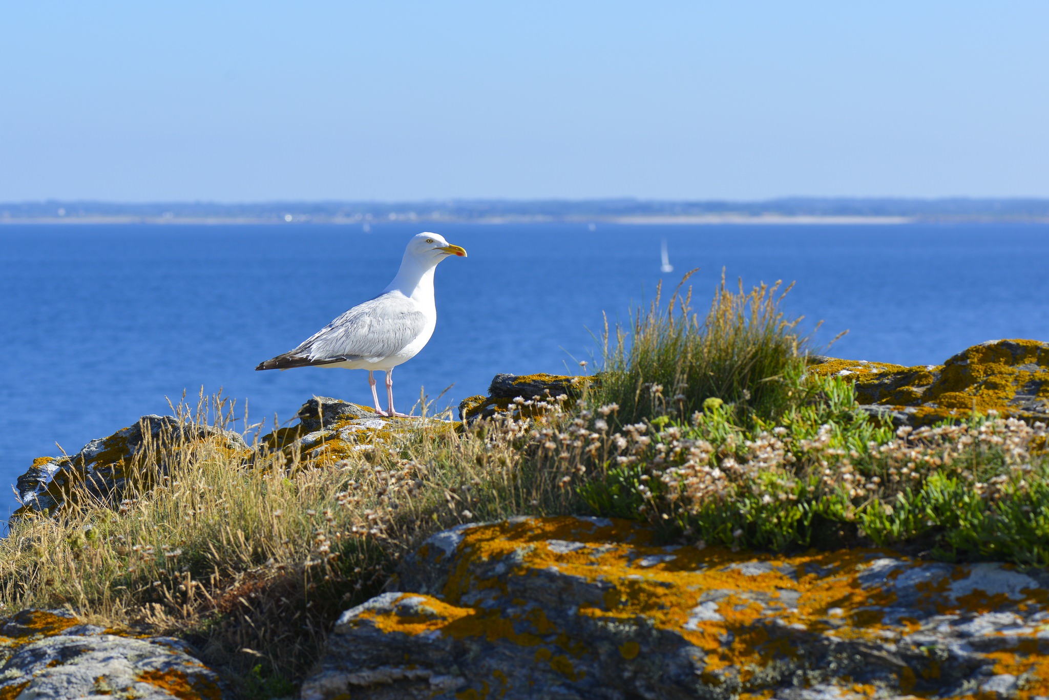 Tourism and holidays on the island of Groix: welcome to paradise 