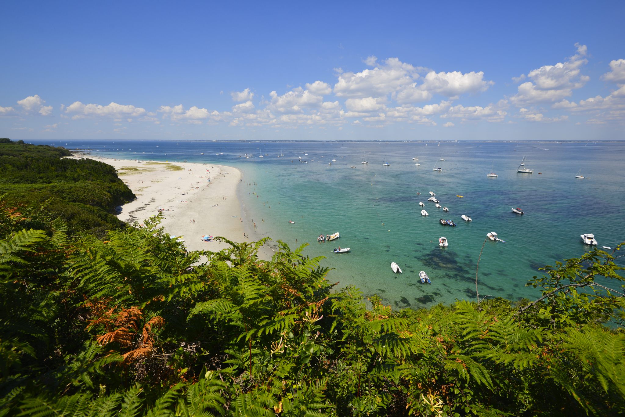 Plage des Grands Sables, fougères et eaux transparentes à l'Ile de Groix.