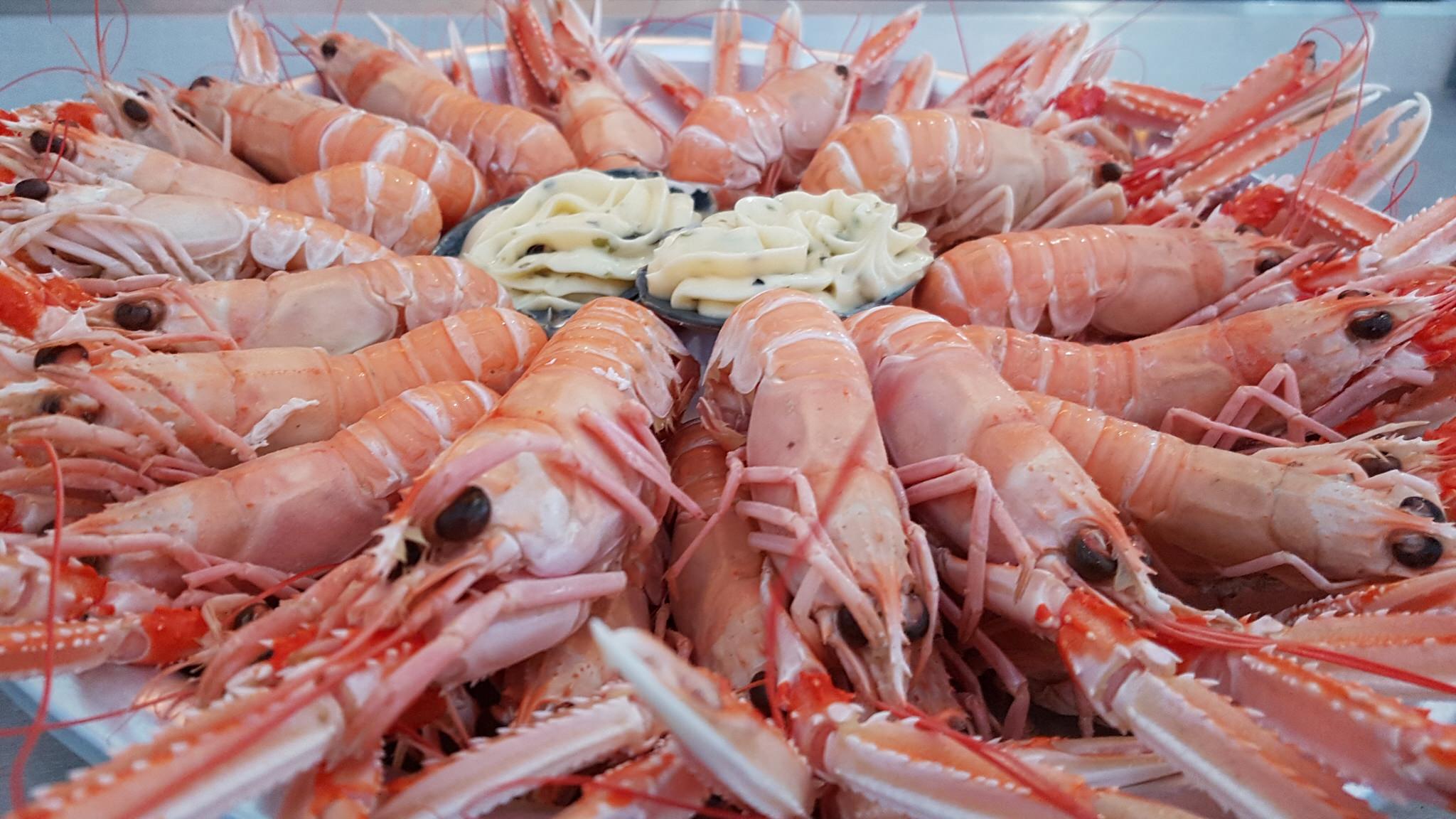 Plat de langoustines et mayonaises