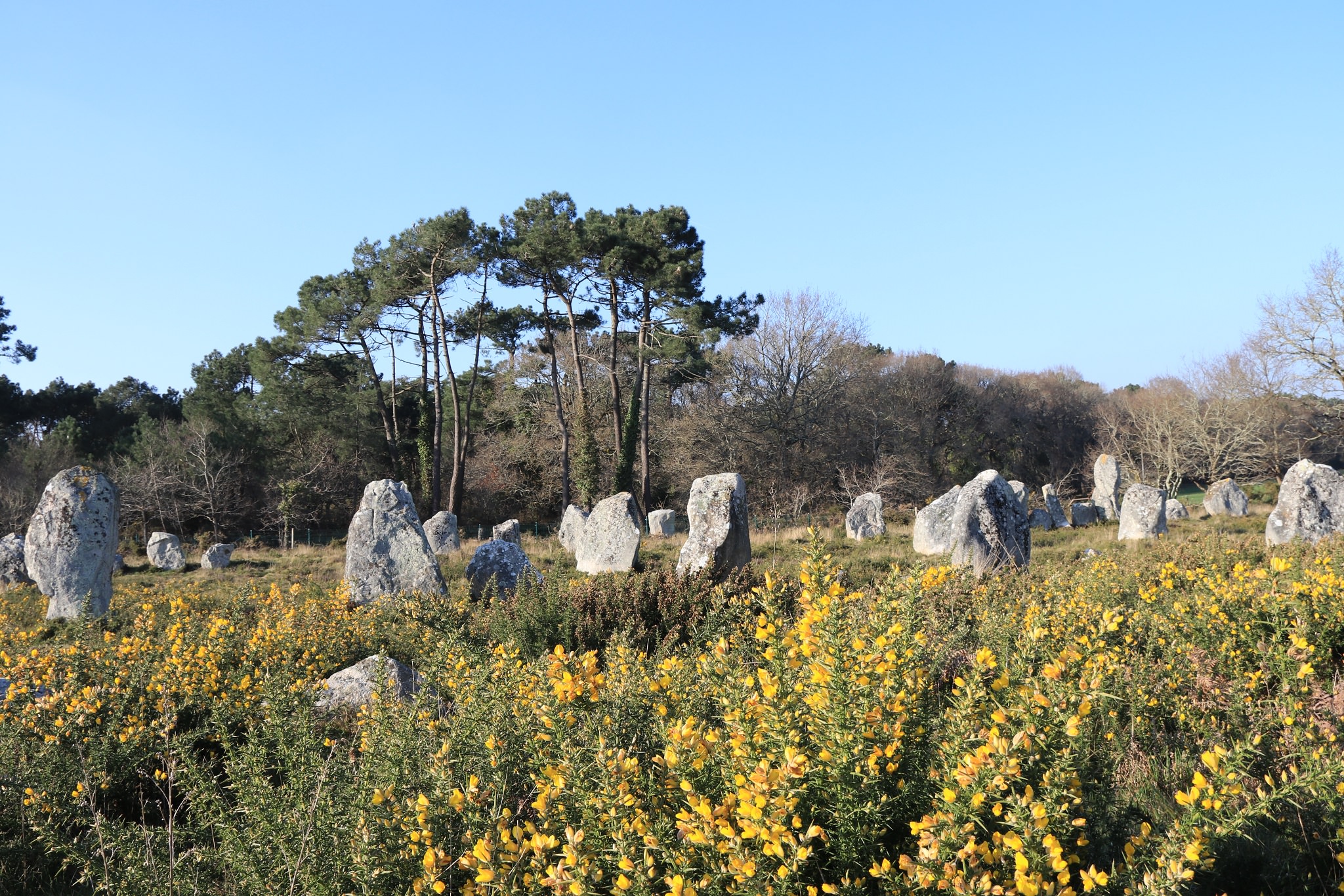 Carnac - Visit Lorient Brittany